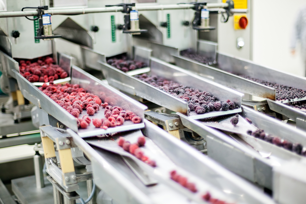 Frozen,Red,Raspberries,In,Sorting,And,Processing,Machines